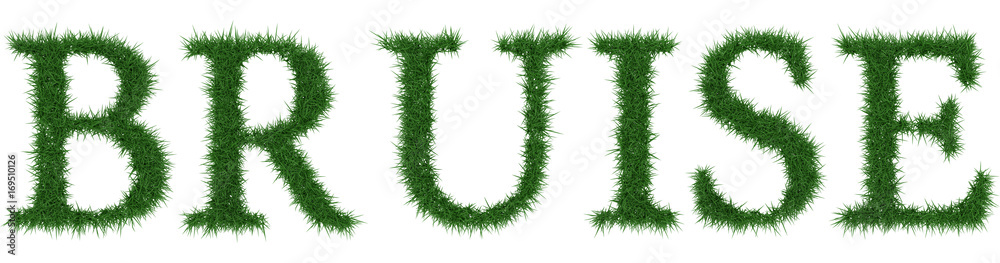 Bruise - 3D rendering fresh Grass letters isolated on whhite background. Bruise - 3D rendering fresh Grass letters isolated on whhite background.