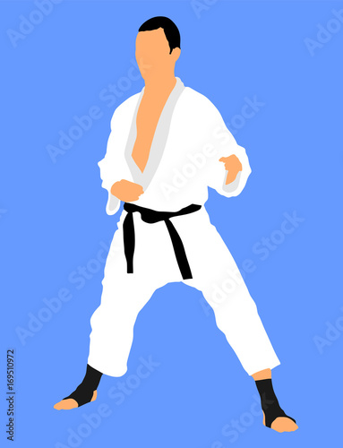 Karate man fighter in kimono, vector illustration. Black belt category.