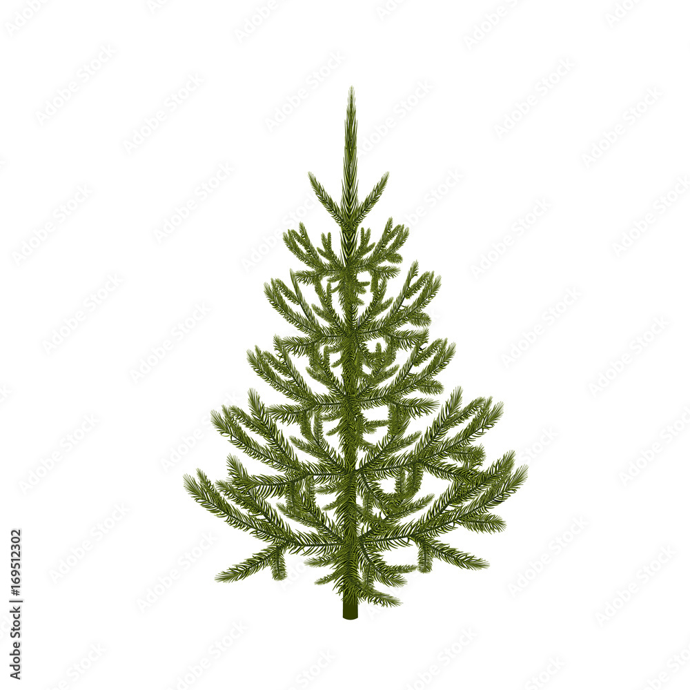 Symbol of the New Year. An image of a beautiful green fir without a mesh and a gradient. Isolated on white background. illustration