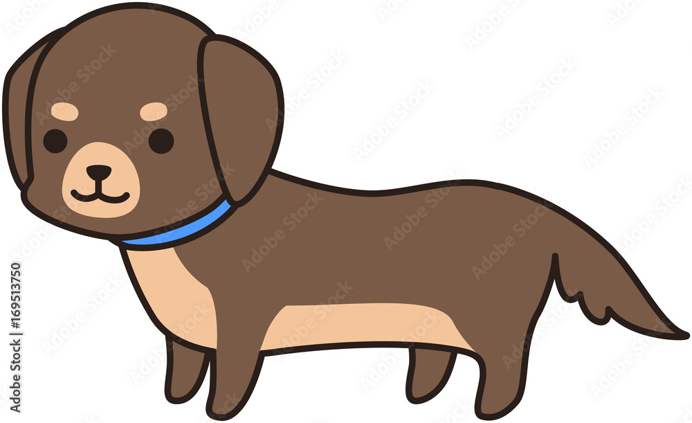 茶色いミニチュアダックスフンド 犬 ドッグ わんわん 散歩 表情 Stock ベクター Adobe Stock