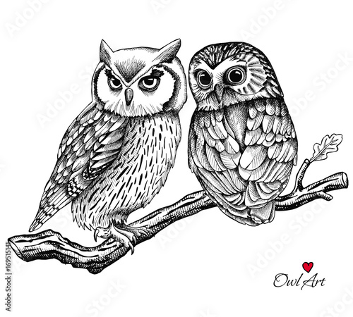 Image of two owls on a branch. Vector illustration.
