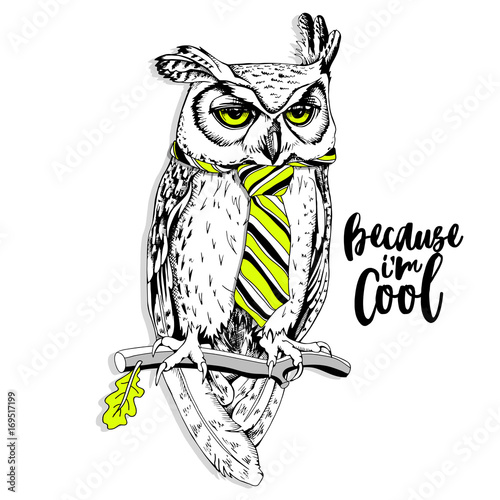 Screech-owl in the bright striped tie on a branch. Vector illustration.