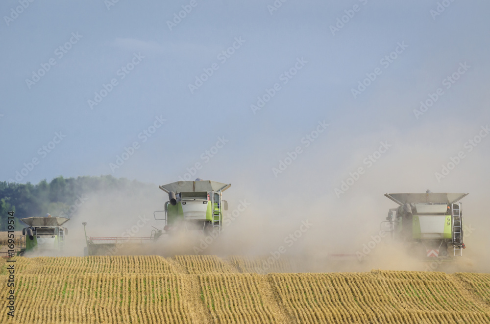 Obraz premium COMBINE HARVESTERS - Agricultural machinery on the field