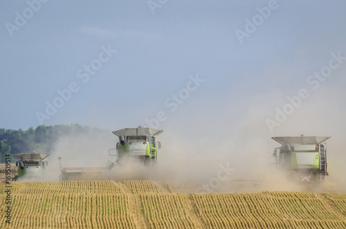 COMBINE HARVESTERS - Agricultural machinery on the field © Wojciech Wrzesień