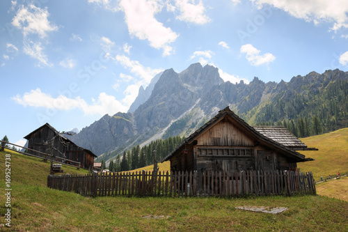 prati di Croda Rossa - Dolomiti di sesto