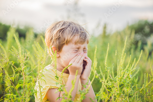 Boy sneezes because of an allergy to ragweed photo