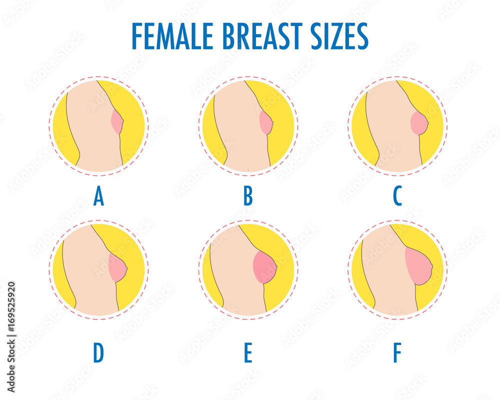 Vetor do Stock: Set of round line icons of different female breast size,  body side view. Various boobs sizes, from small to large. Sizes of busts,  from A to F. Vector isolated