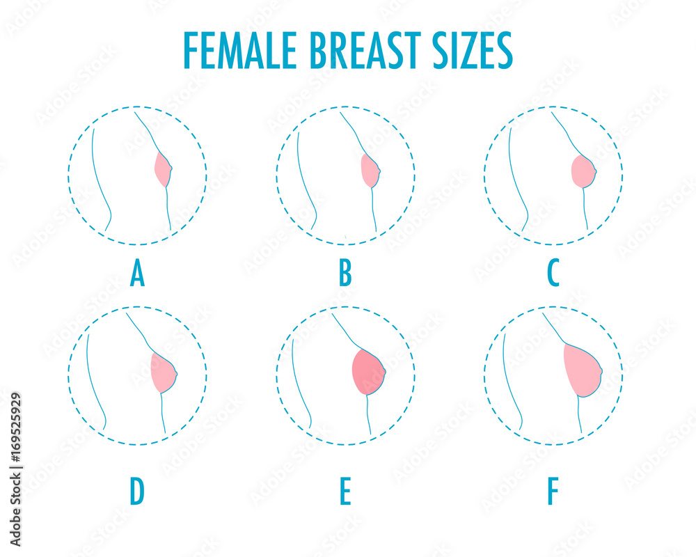 Vetor de Set of round line icons of different female breast size