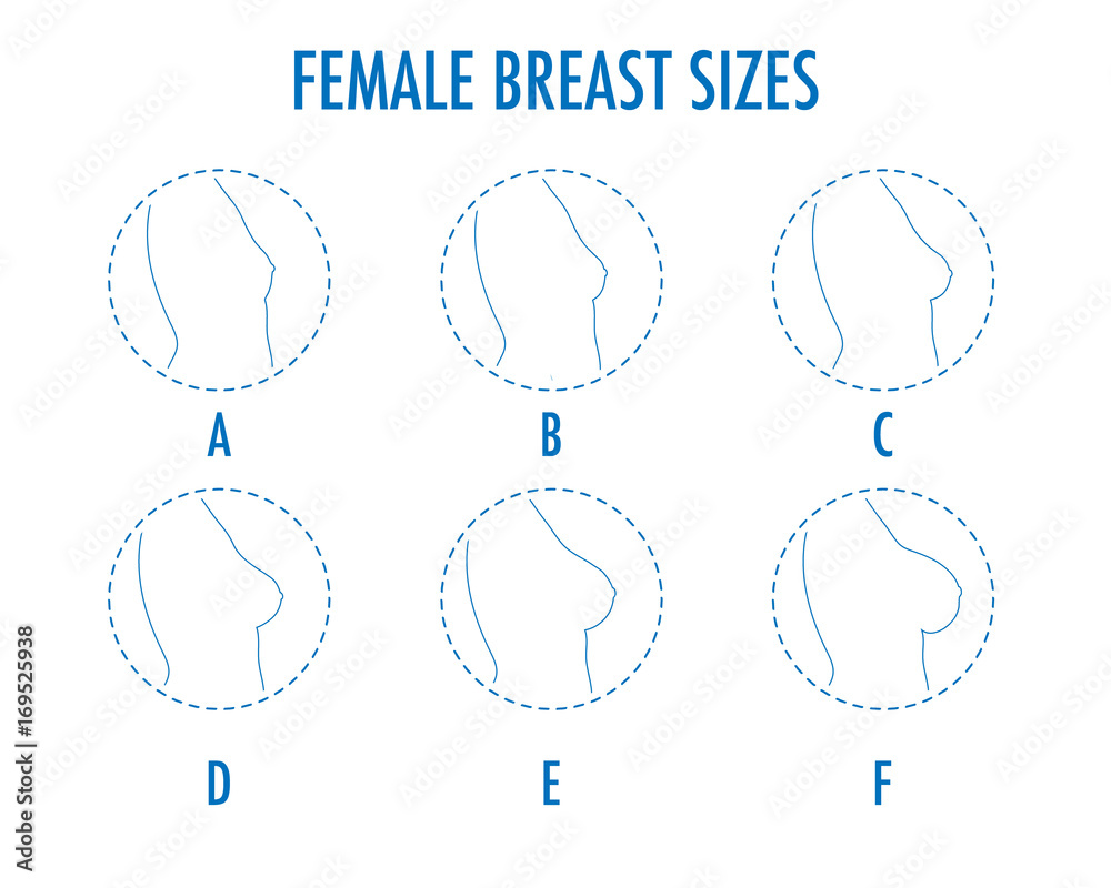 Set of round line icons of different female breast size, body side view.  Various boobs sizes, from small to large. Sizes of busts, from A to F.  Vector isolated on white. Векторный