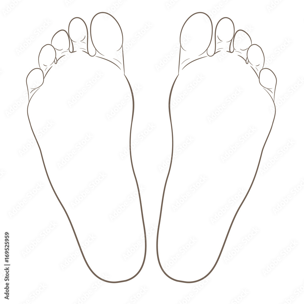 Left and right foot soles contour illustration for biomechanics, footwear, shoe concepts, medical, health, massage, spa, acupuncture centers. Realistic cartoon style contour. Vector isolated on white. Left and right foot soles contour illustration for biomechanics, footwear, shoe concepts, medical, health, massage, spa, acupuncture centers. Realistic cartoon style contour. Vector isolated on white.