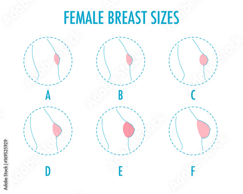Set of round line icons of different female breast size, body side view. Various boobs sizes, from small to large. Sizes of busts, from A to F. Vector isolated on white.