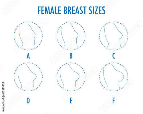 Visual Breast Size Comparison