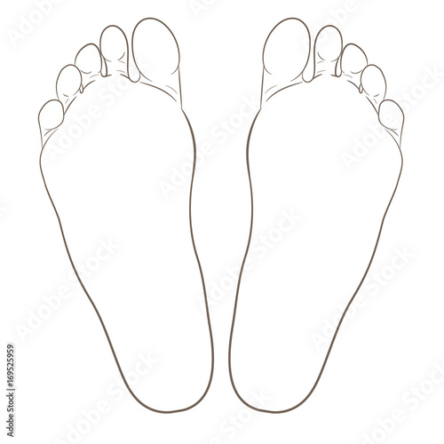 Left and right foot soles contour illustration for biomechanics, footwear, shoe concepts, medical, health, massage, spa, acupuncture centers. Realistic cartoon style contour. Vector isolated on white.