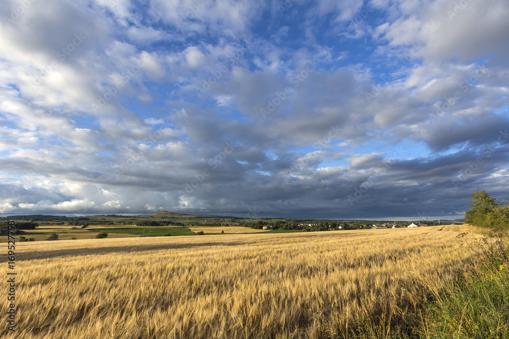 Evening Sunset Landscape