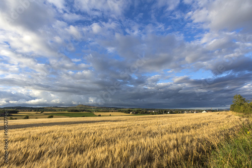 Evening Sunset Landscape