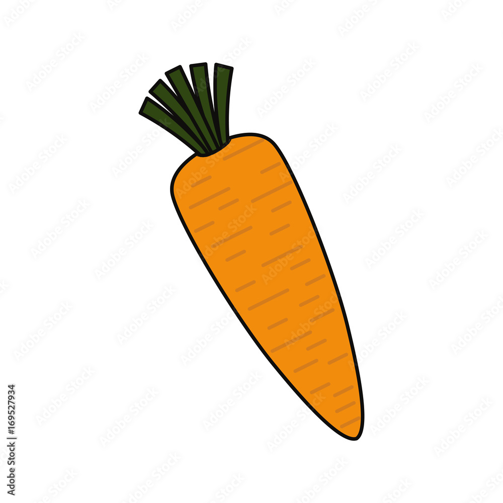 Fresh carrot vegetable icon vector illustration graphic design Fresh carrot vegetable icon vector illustration graphic design