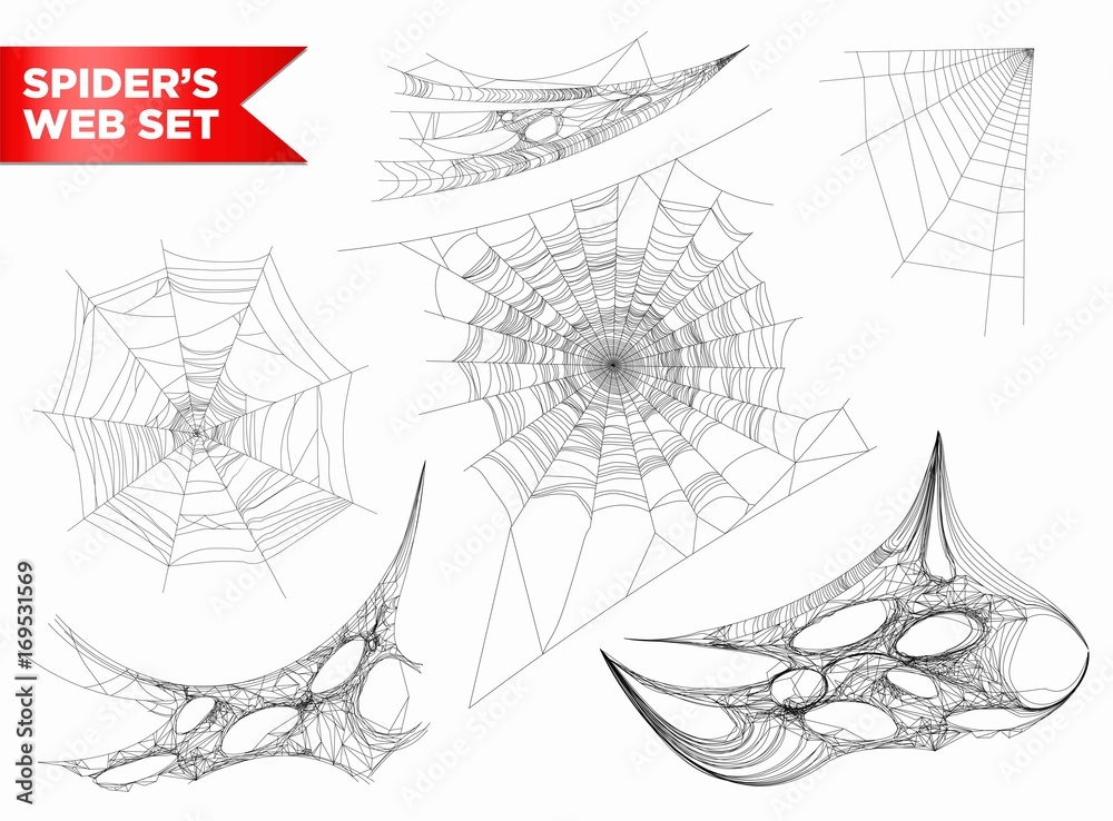 Spiderweb or spider web cobweb 3D shapes vecto isolated icons