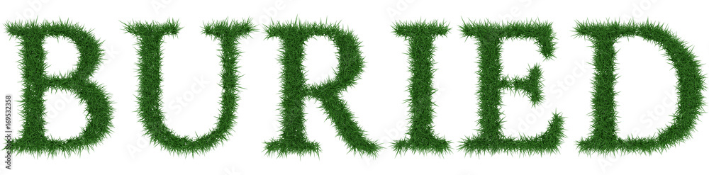 Buried - 3D rendering fresh Grass letters isolated on whhite background. Buried - 3D rendering fresh Grass letters isolated on whhite background.