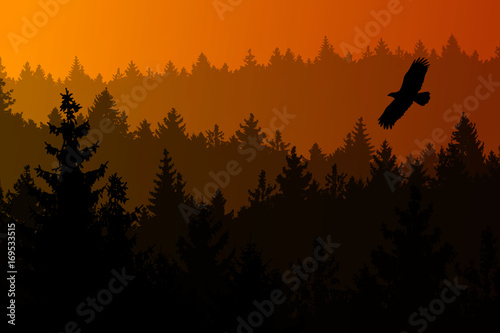 Vector illustration of Coniferous Forest in the twilight with an Eagle soaring.