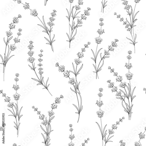 Seamless pattern of lavender flowers on a white background. Watercolor pattern with Lavender for package paper. Vector illustration.