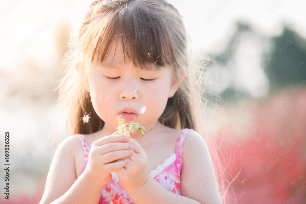 Little girl blowing dandelion in spring park Little girl blowing dandelion in spring park