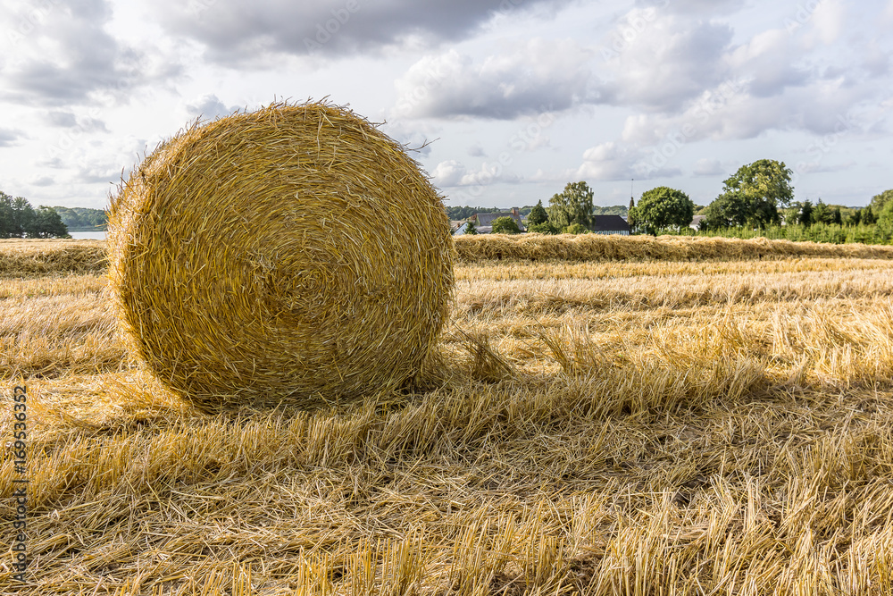 Round yellow hay bale in a large field