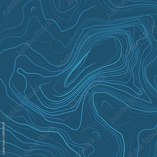 Abstract Topographic Lines Map Vector Illustration Background