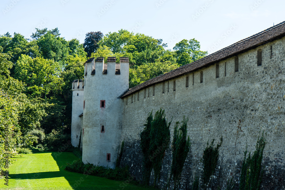 Fototapeta premium historic medievil castle with tower in summer