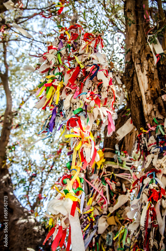 Tied ribbons on the tree of desires on the island of Camellia in the Aegean Sea. Turkey.