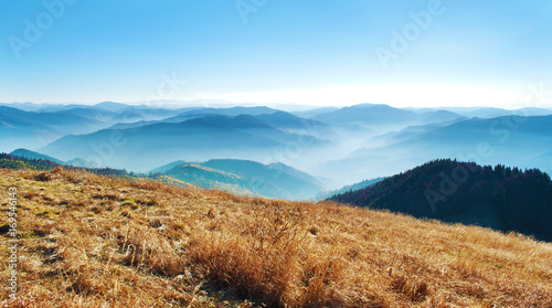 Panorama of a view of hills of a smoky mountain range covered in white mist and deciduous forest under blue cloudless sky on a warm fall day in October. Carpathians, Ukraine