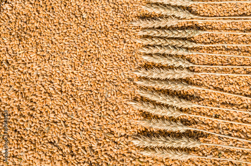 grain and wheat flakes background