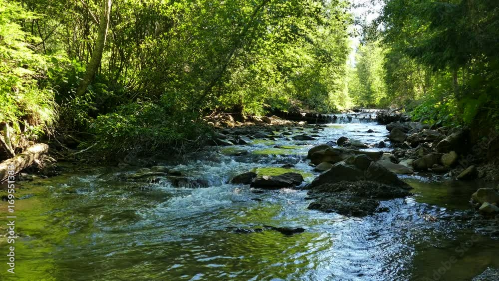 4K. Small mountain river with stones and trees 4K. Small mountain river with stones and trees