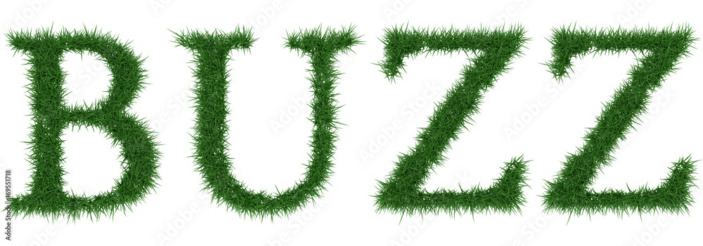 Buzz - 3D rendering fresh Grass letters isolated on whhite background. Buzz - 3D rendering fresh Grass letters isolated on whhite background.