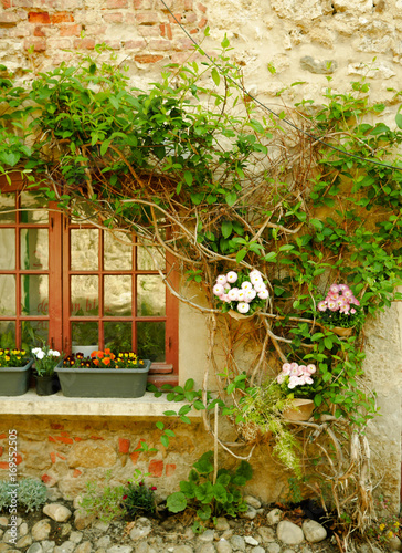 Fenêtre encadrée par la végétation