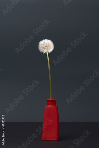 Fototapeta Naklejka Na Ścianę i Meble -  Pusteblume in roter Vase