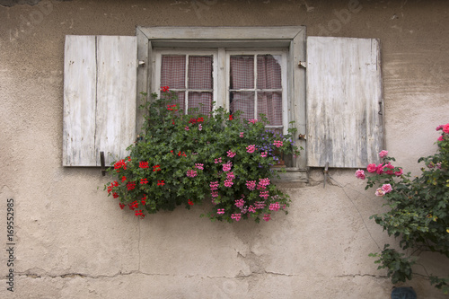 Vecchie finestre  Alsazia  Francia