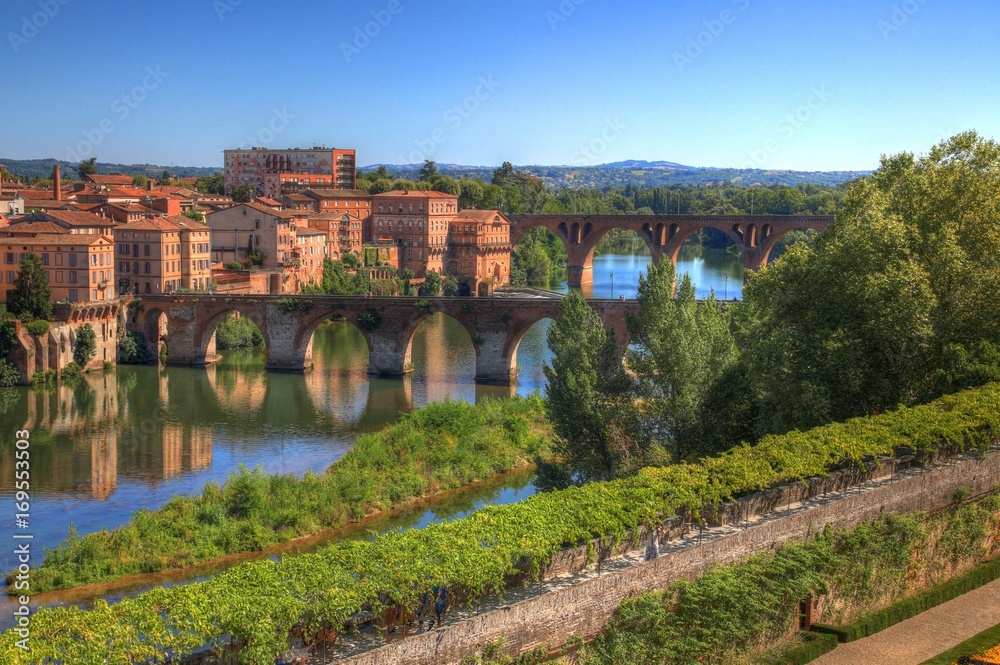 Fototapeta premium Albi - Vieux pont
