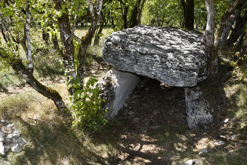 Dolmen de Joncas / Limogne-en-Quercy / Lot / Occitanie Dolmen de Joncas / Limogne-en-Quercy / Lot / Occitanie