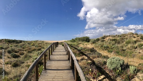 Fototapeta Naklejka Na Ścianę i Meble -  Holzsteg durch Dünen in der Algarve