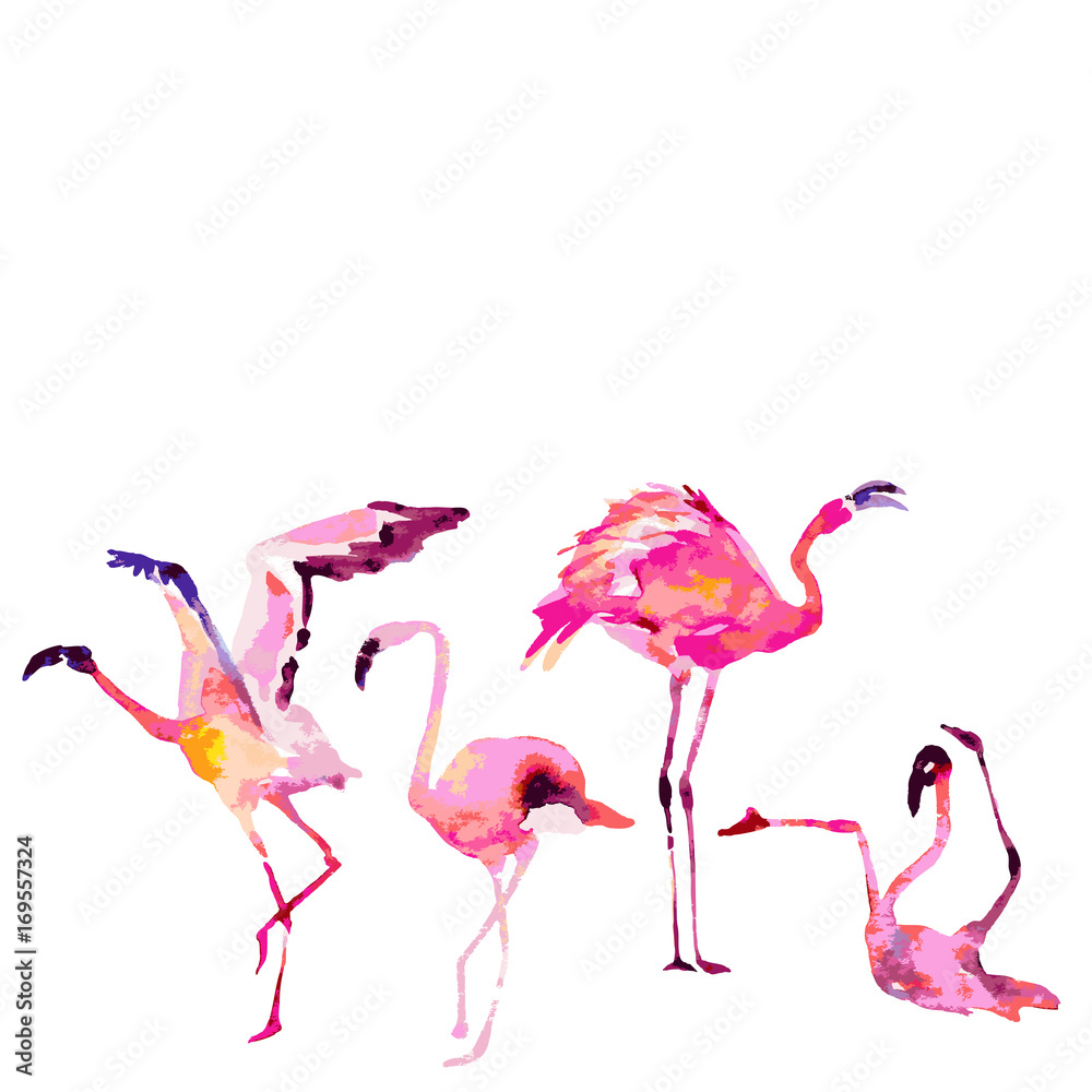 Fototapeta Beautiful flamingos, isolated on a white. Big set.