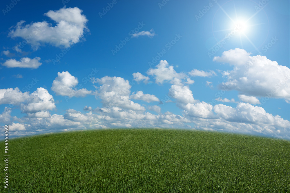 clouds on a background blue sky over the green meadow clouds on a background blue sky over the green meadow