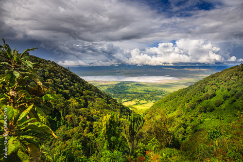 Landscape in The Ngorongoro Crater - Tanzania photo