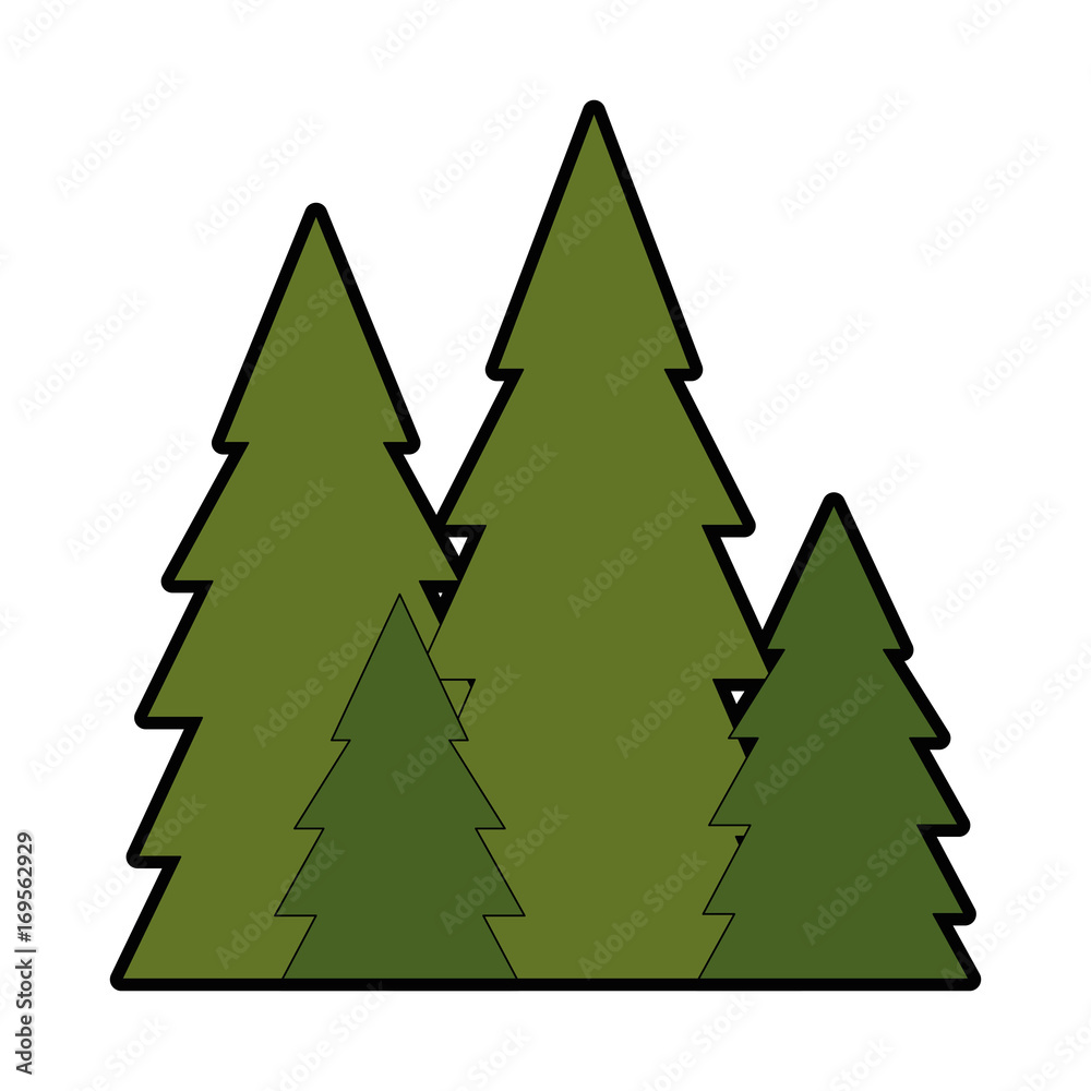 Obraz premium pines trees icon over white background vector illustration