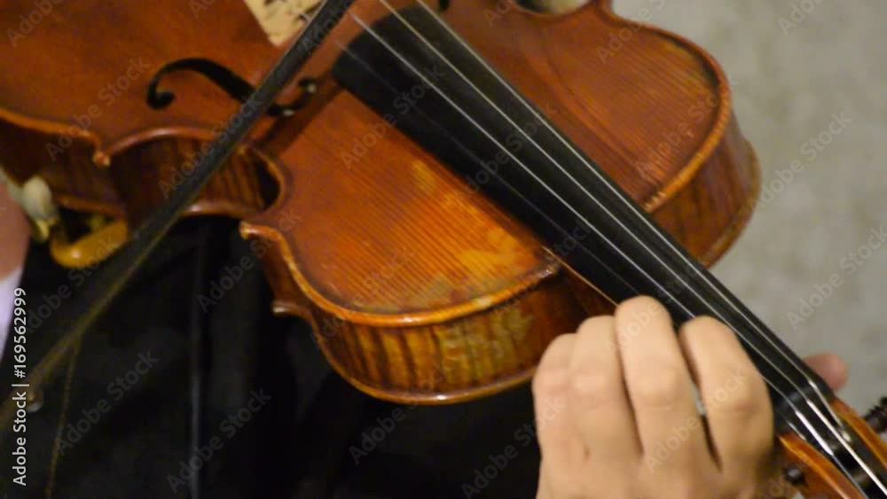 Viulu Violino Housle Violí Violine Violín Video Violon Βιολί Hegedű كمان Skrzypce Fiðla ヴァイオリン Viool Vioară Скрипка Keman वायलिन Ջութակ 小提琴 ไวโอลิน כינור Viulu Violino Housle Violí Violine Violín Video Violon Βιολί Hegedű كمان Skrzypce Fiðla ヴァイオリン Viool Vioară Скрипка Keman वायलिन Ջութակ 小提琴 ไวโอลิน כינור