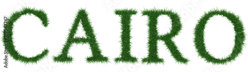 Cairo - 3D rendering fresh Grass letters isolated on whhite background.