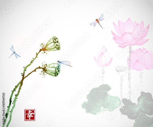 Lotus flowers and dragonflies on white background. Traditional oriental ink painting sumi-e, u-sin, go-hua. Contains hieroglyph - happiness.