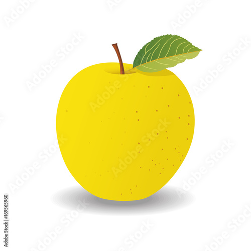 green apple on a white background. vector