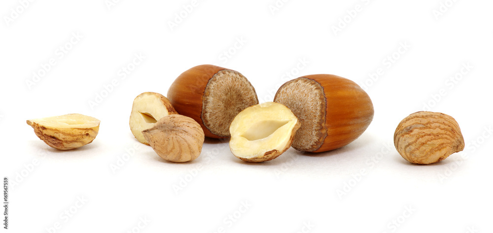 Hazelnut isolated on white Hazelnut isolated on white