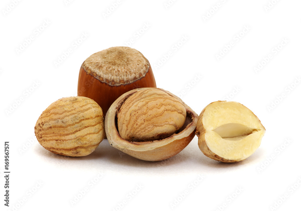 Hazelnut isolated on white