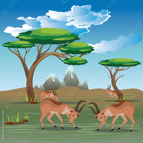 Landscape with Antelopes